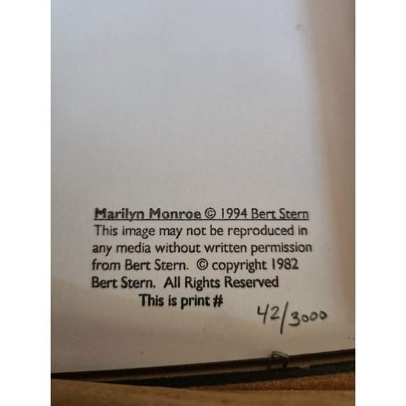 BERT STERN Marilyn Monroe Signed 42/3000 Numbered Limited Edition Dior Dress - Picture 4 of 5